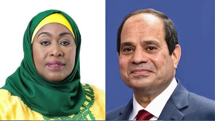 السيد الرئيس عبد الفتاح السيسي يستقبل بقصر الاتحادية السيدة سامية حسن رئيسة جمهورية تنزانيا المتحدة 87352
