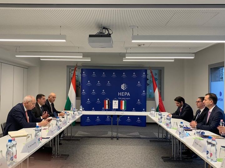 الرئيس التنفيذي للهيئة العامة للاستثمار والمناطق الحرة يبحث فرص الاستثمار المشترك مع ممثلي الحكومة المجرية 58532
