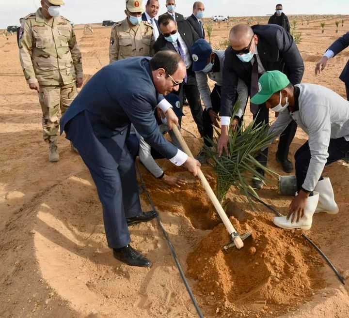 السيد الرئيس عبد الفتاح السيسي يزرع شجرة نخيل في توشكييPhotos from ‎المتحدث الرسمي لرئاسة الجمهورية-Spokesman of the 77730