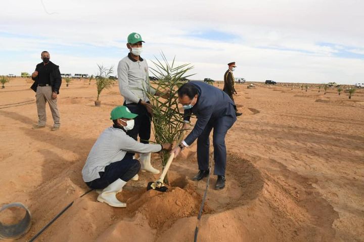 السادة الوزراء يزرعون شجر النخيل في توشكييPhotos from ‎المتحدث الرسمي لرئاسة الجمهورية-Spokesman of the Egyptian Presidency‎'s post 95495