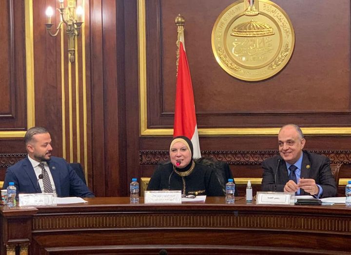 وزارة التجارة والصناعة: خلال لقاء وزيرة التجارة والصناعة بأعضاء لجنة المشروعات الصغيرة 30604