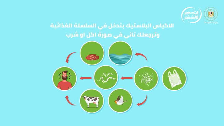 أنت عارف انك بتاكل وبتشرب وبتتنفس بلاستيك؟ الأكياس البلاستيك بتدخل في السلسلة الغذائية وبترجعلك تاني في 43043