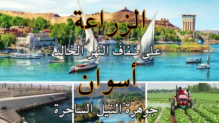وزارة الزراعة واستصلاح الأراضي: إنفوجراف وفيديو| بمناسبة عيدها القومي 44319