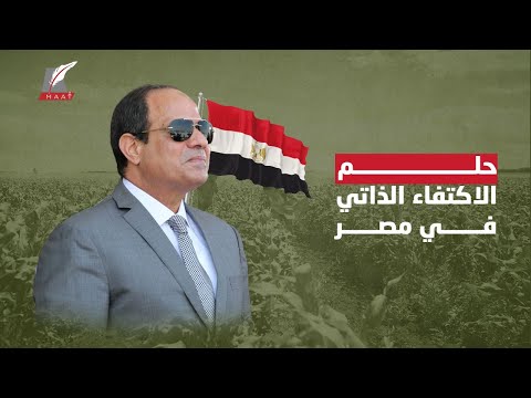 حلم الاكتفاء الذاتي يتحقق.. كيف وصلت مصر إلى الأمن الغذائي في 7 سنوات؟ hqdefaul 24