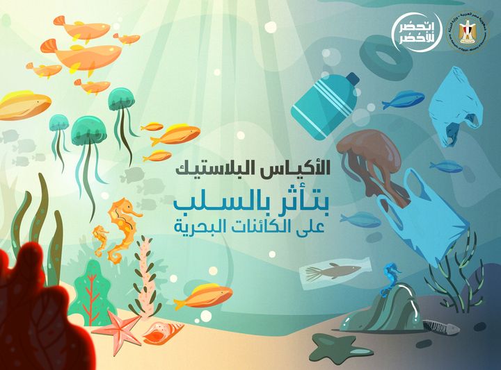 الأكياس البلاستيك بتأثر بالسلب على الكائنات البحرية زي السلاحف البحرية والأسماك لأنهم بيفتكروها أكل وده 89565