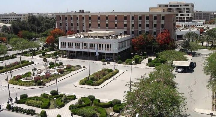 على هامش فعاليات برنامج صندوق رعاية المُبتكرين والنوابغ بجامعة المنيا التعليم العالي: تعزيز آليات رعاية 14133