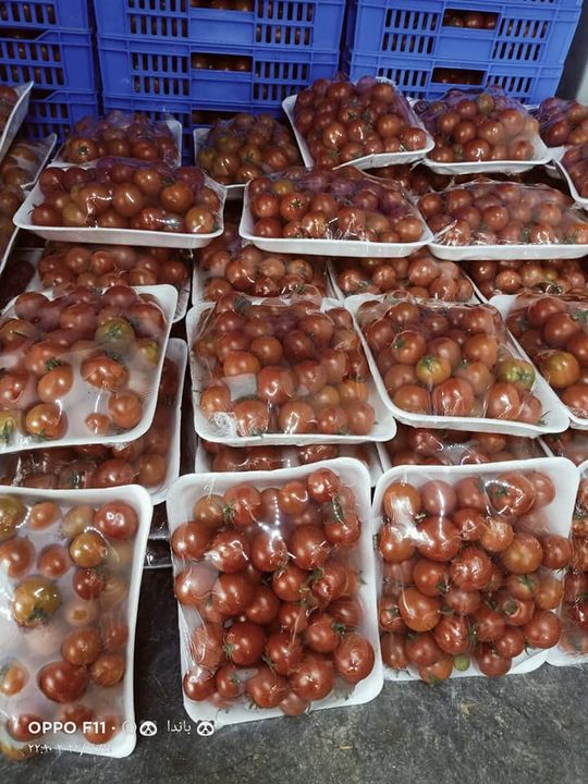 278177943_379296510907442_26155755627979