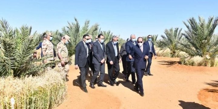 Le président inaugure par visioconférence nombre de silos dans plusieurs gouvernorats progresegyptien المتحدث الرسمي لرئاسة الجمهورية-Spokesman of the Egyptian 92750