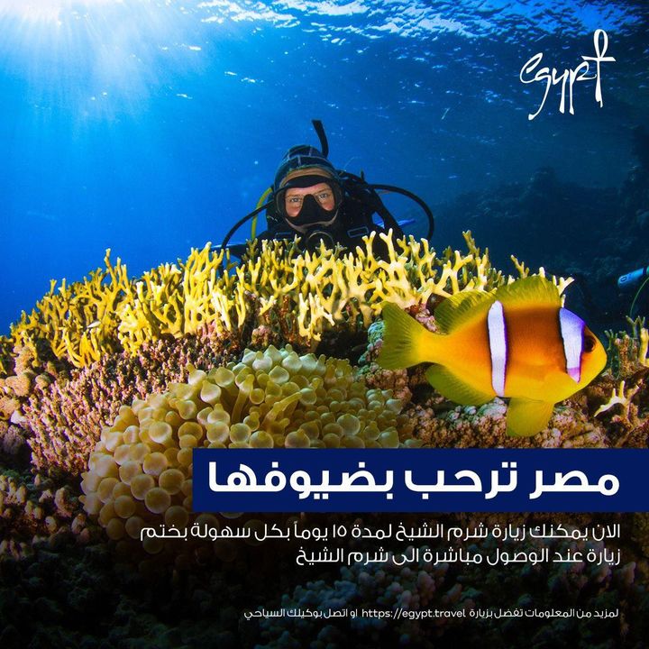 26 مايو 2022 - نتائج إيجابية للحملة الترويجية مصر ترحب بضيوفها للتعريف بالتسهيلات الجديدة 18970