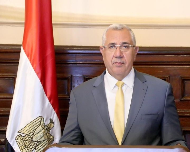 وزارة الزراعة واستصلاح الأراضي: الزراعة: صادرات مصر الزراعية تتجاوز 3 مليون طن هذا العام 34016