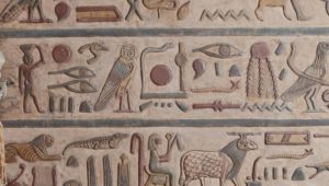 بيان صادر عن وزارة السياحة والآثار: 
١٣ مايو ٢٠٢٢ 
نجحت البعثة الأثرية المصرية الألمانية المشتركة العاملة