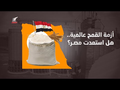 أزمة قمح تضرب العالم.. فهل لدى مصر ما يكفيها من هذا المحصول الاستراتيجي؟ hqdefau 133