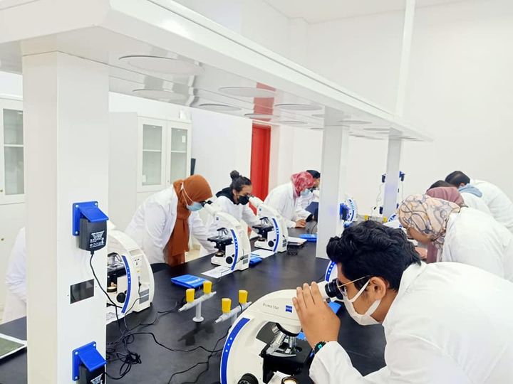 287232444_568446174638221_39713709683557