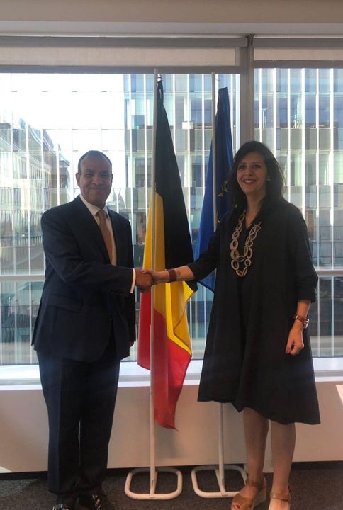 السفير المصري لدى بلجيكا يبحث التعاون حول قضايا البيئة وتغير المناخ والتحول في مجال الطاقة مع وزيرة المناخ 82436 1