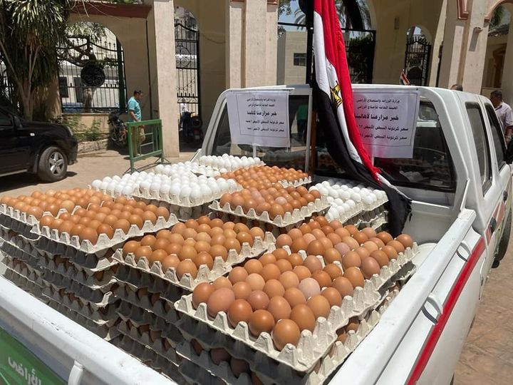 295549393_458208676349558_62790335690375