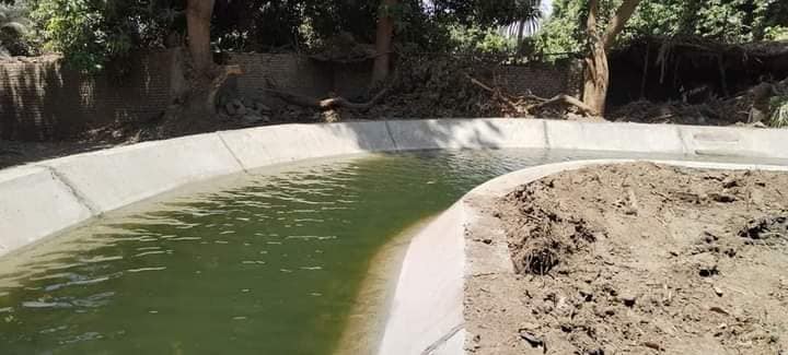 295554725_457985589705200_47449063365826