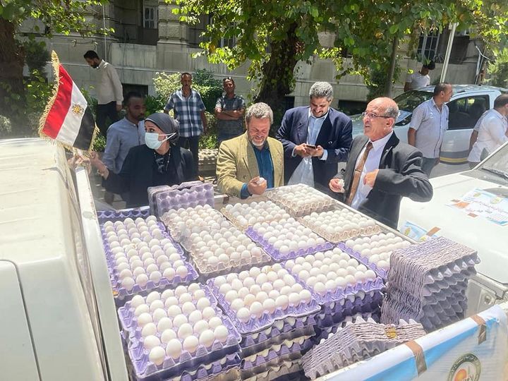 295487732_458208909682868_50179847577989