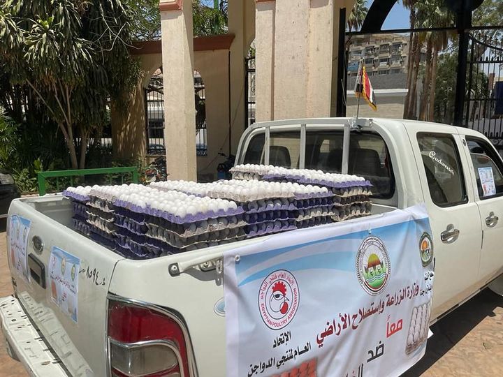 295889856_458208983016194_88523575556921