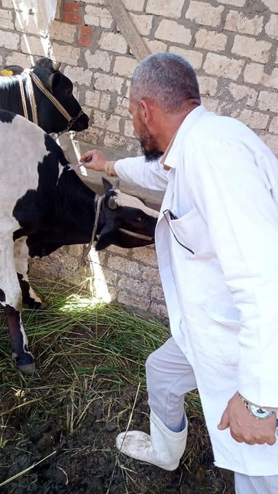 وزارة الزراعة واستصلاح الأراضي: وزير الزراعة يتابع مع قيادات الوزارة أعمال الحملة القومية 50322