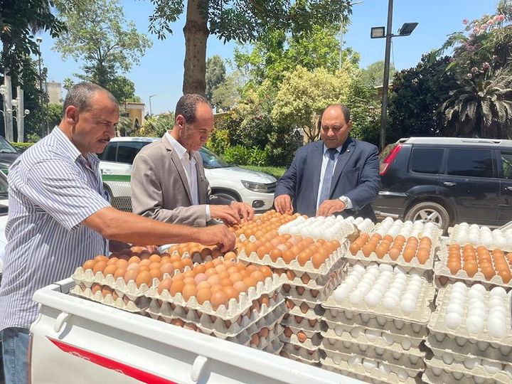 295612160_458208753016217_41000083075848