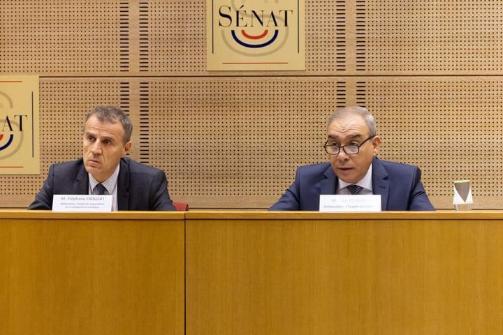 سفير مصر في باريس يُطلع أعضاء مجلس الشيوخ الفرنسي على رؤية مصر لمؤتمر COP27  شارك السفير علاء 28247