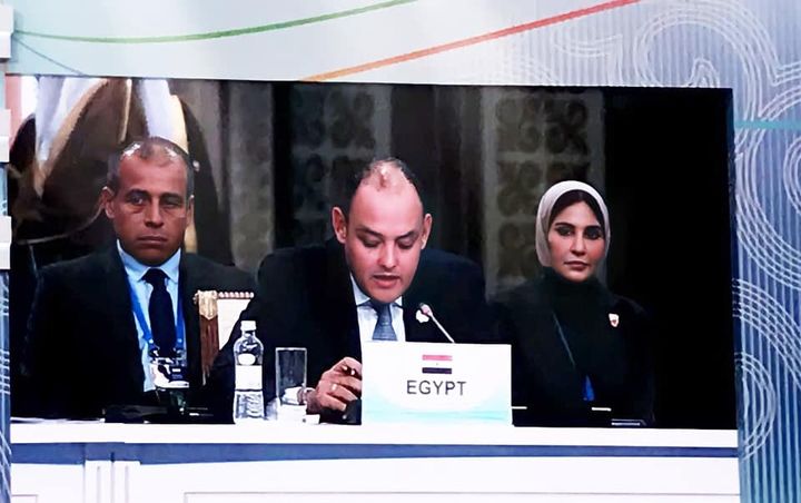 وزارة التجارة والصناعة: بالإنابة عن فخامة الرئيس عبد الفتاح السيسى وزير التجارة والصناعة 51255