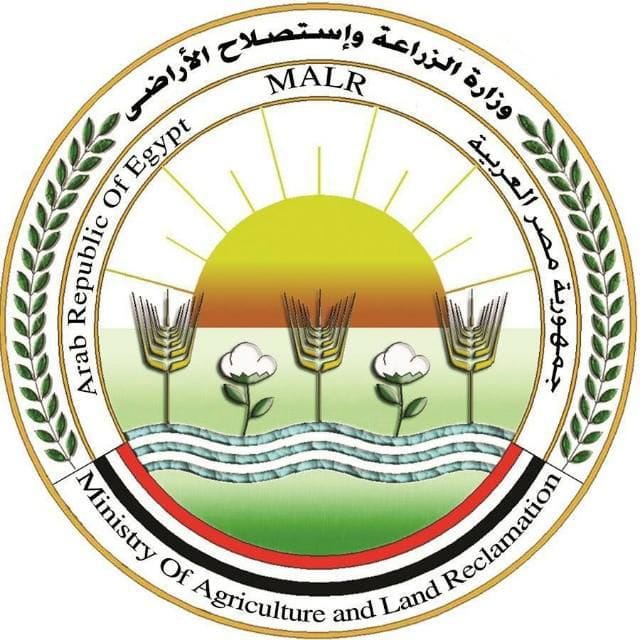وزارة الزراعة واستصلاح الأراضي: الزراعة: الإفراج عن 756 ألف طن ذرة وفول صويا وإضافات أعلاف 61470