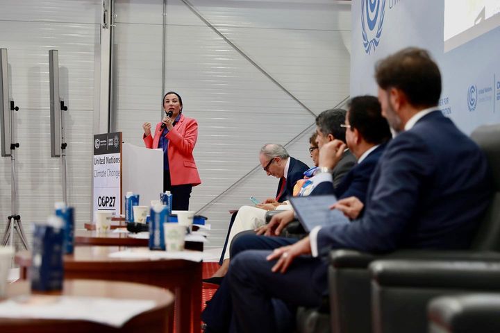 COP27 live from the BlueZone: Supporting Transformative Climate Actions in Agriculture and Land in Egypt Through SCALA To support Egypt in its efforts, FAO and UNDP are collaborating with the 72628