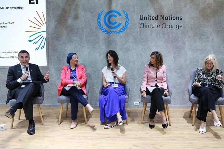 COP27 live from the BlueZone: How Can Business and Government Team Together to Create Stronger, Multi-Faceted Adaptation Finance solutions? As government reaches out, how can business step in? 73478