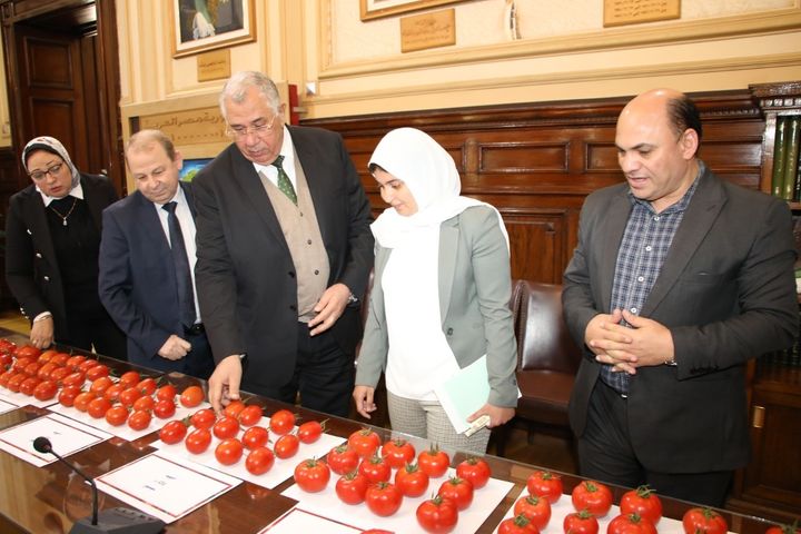 وزارة الزراعة واستصلاح الأراضي: وزير الزراعة يتابع نتائج تقييم بعض الهجن وأصناف الطماطم في 38375