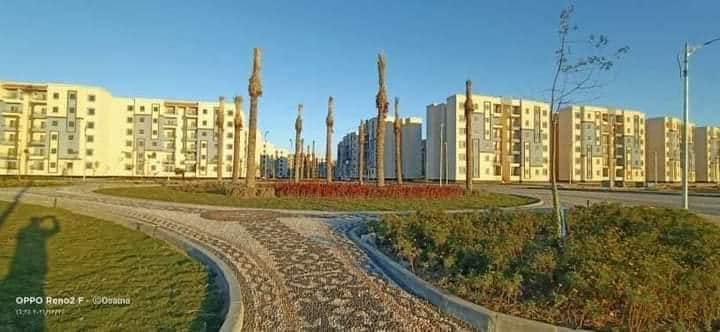 323641715_1890770711257874_6044108048480