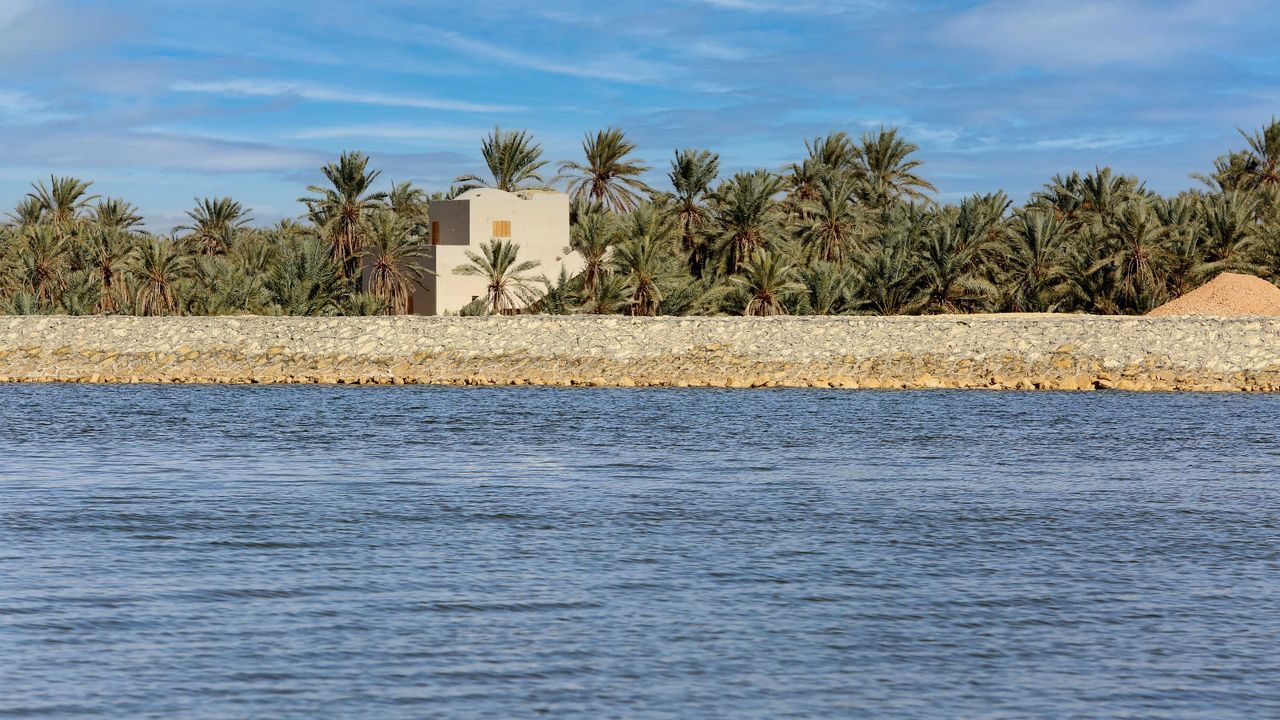 وزارة الموارد المائية والري: الدكتور سويلم يتابع أعمال التطوير الجارية بواحة سيوة بالتعاون 22422