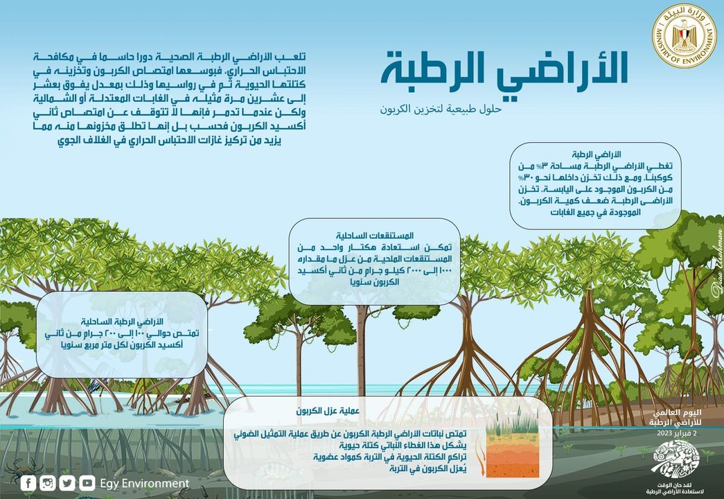 مصر تحتفل باليوم العالمي للأراضي الرطبة ٢٠٢٣ اليوم العالمي للأراضي الرطبة جيل الاستعادة من أجل الأراضي 72965