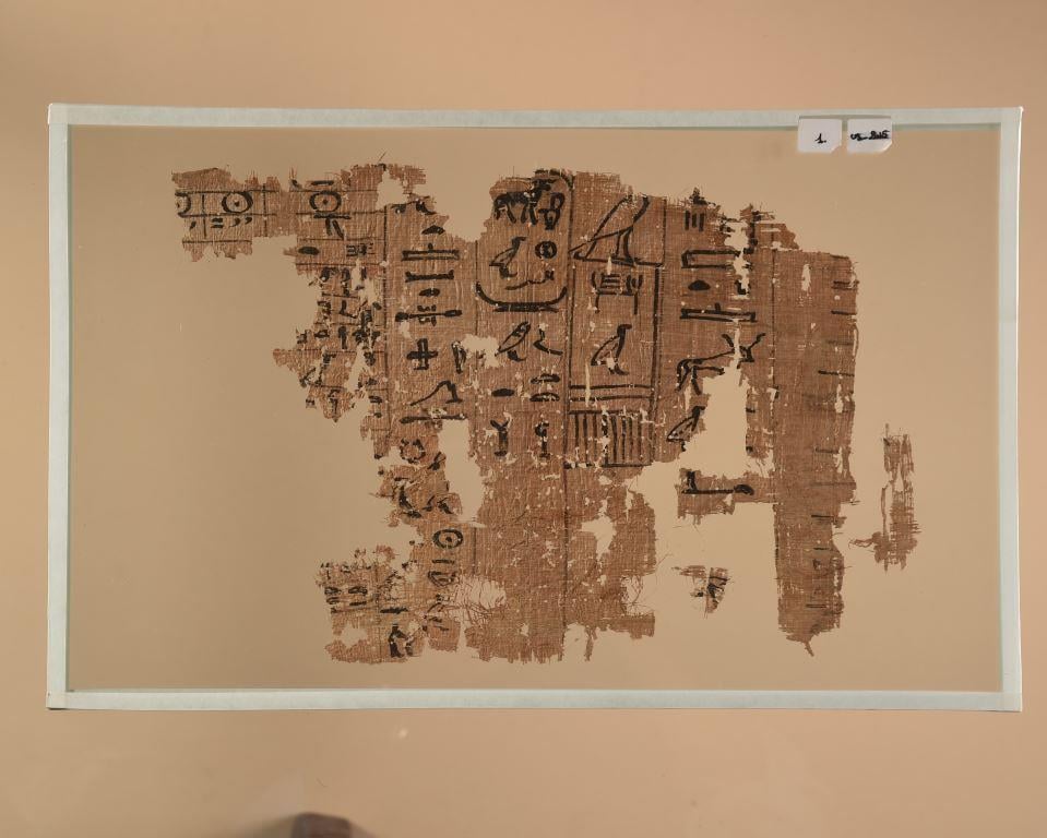المتحف المصري أرشيف برديات الملك خوفو من ميناء وادي الجرف مرفق واحدة من أهم قطع البردي المكتشفة يظهر فيها FoitvCMXsAMZ6pp