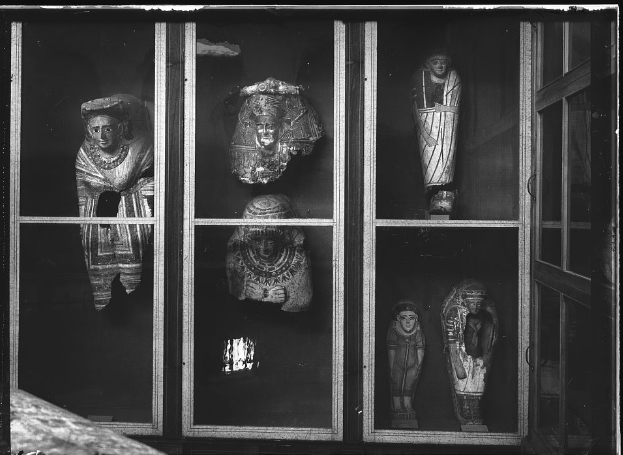 شاهد على العصر من تفاصيل عرض القطع الآثرية بالدور الثانى فى المتحف المصري فى بدايات القرن العشرين مكتبة Fp5jE4sWIAIKv6v