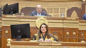 السفيرة سها جندي تستعرض جهود وزارة الهجرة في رعاية المصريين بالخارج وتشجيعهم للاستثمار بمصر أمام الجلسة