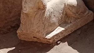 بيان صادر عن وزارة السياحة والآثار: 
6 مارس 2023 
- اكتشاف تمثال لأبو الهول وبقايا مقصورة كلاوديوس بجوار معبد