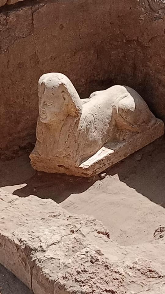 بيان صادر عن وزارة السياحة والآثار: 6 مارس 2023 - اكتشاف تمثال لأبو الهول وبقايا مقصورة كلاوديوس بجوار معبد 58054