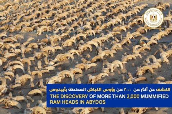 نجحت البعثة الأثرية الأمريكية التابعة لجامعة نيويورك والعاملة بمنطقة معبد الملك رمسيس الثاني بأبيدوس في 70075