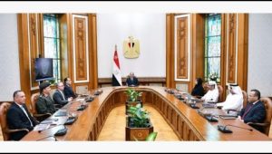 الرئيس عبد الفتاح السيسي يستقبل الرئيس التنفيذي لمجموعة موانئ أبو ظبي