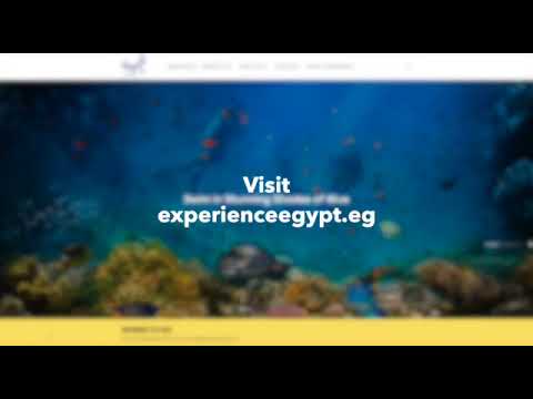 الموقع الإلكتروني الترويجي للهيئة المصرية العامة للتنشيط السياحي hqdefaul 66
