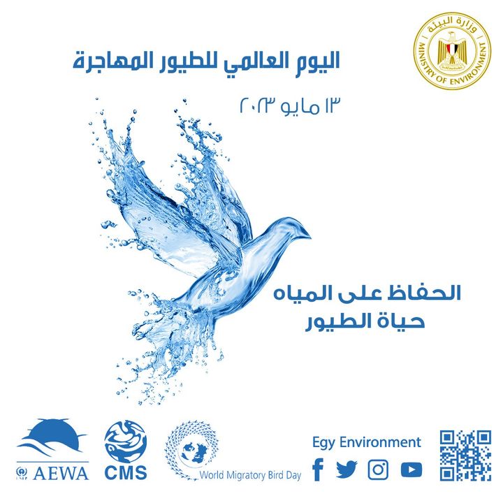جمهورية مصر العربية تحتفل باليوم العالمي للطيور المهاجرة تحت شعار الحفاظ على المياه حياة الطيور اليوم 74143