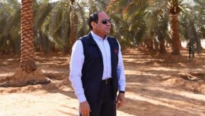 بيان صادر عن وزارة الزراعة واستصلاح الأراضي: 
٣٠ يونيو وضعت الزراعة على أولوية الدولة المصرية 
دعم غير