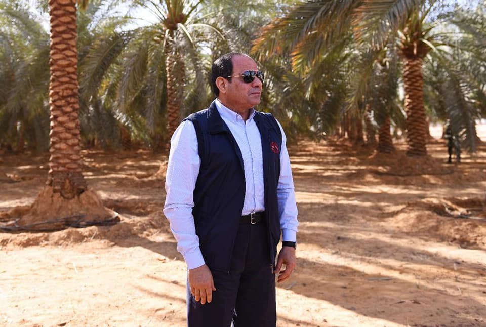وزارة الزراعة واستصلاح الأراضي: ٣٠ يونيو وضعت الزراعة على أولوية الدولة المصرية دعم غير 39805