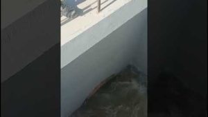فتح بوابة النهر الصناعي