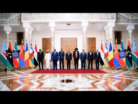 نشاط الرئيس عبد الفتاح السيسي خلال قمة دول جوار السودان hqdefaul 23