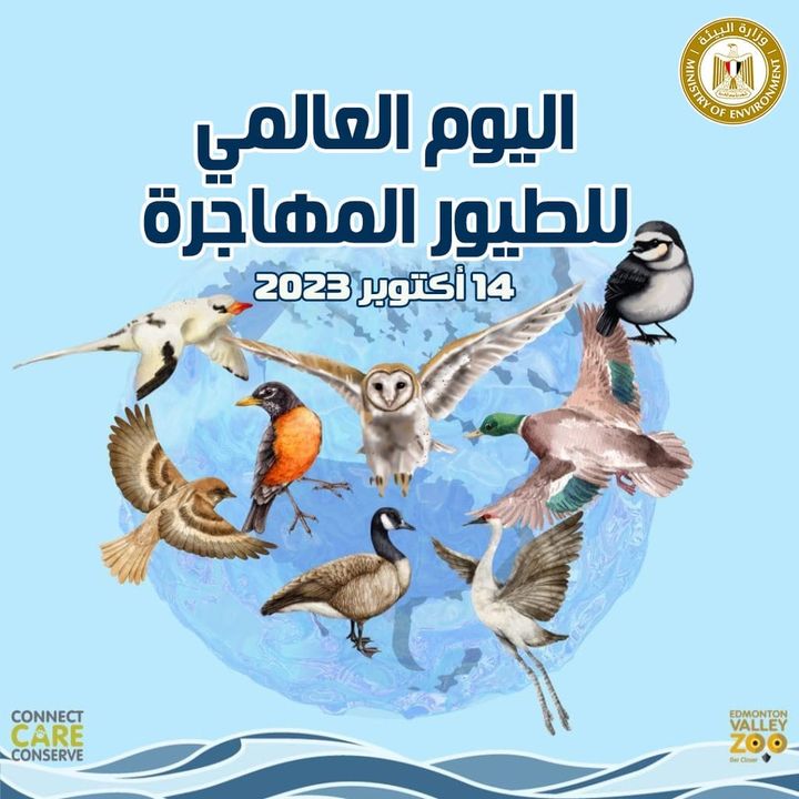 وزارة البيئة: تحت شعار الماء: استدامة حياة الطيور : مصر تشارك دول العالم الاحتفال باليوم 58337