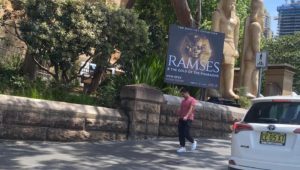 - شوارع وميادين مدينة سيدني بأستراليا تحتفي  بوصول معرض رمسيس وذهب الفراعنة 
--------- 
احتفالا بوصول معرض