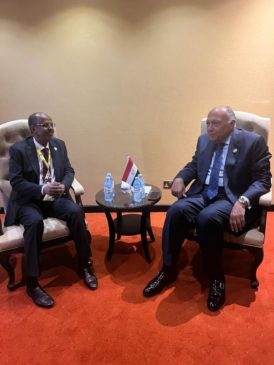 وزارة الخارجية: وزير الخارجية يلتقي وزير خارجية جيبوتي صرح السفير أحمد أبو زيد 16947