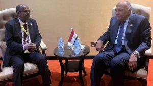 وزارة الخارجية: 
وزير الخارجية يلتقي وزير خارجية جيبوتي 
صرح السفير أحمد أبو زيد